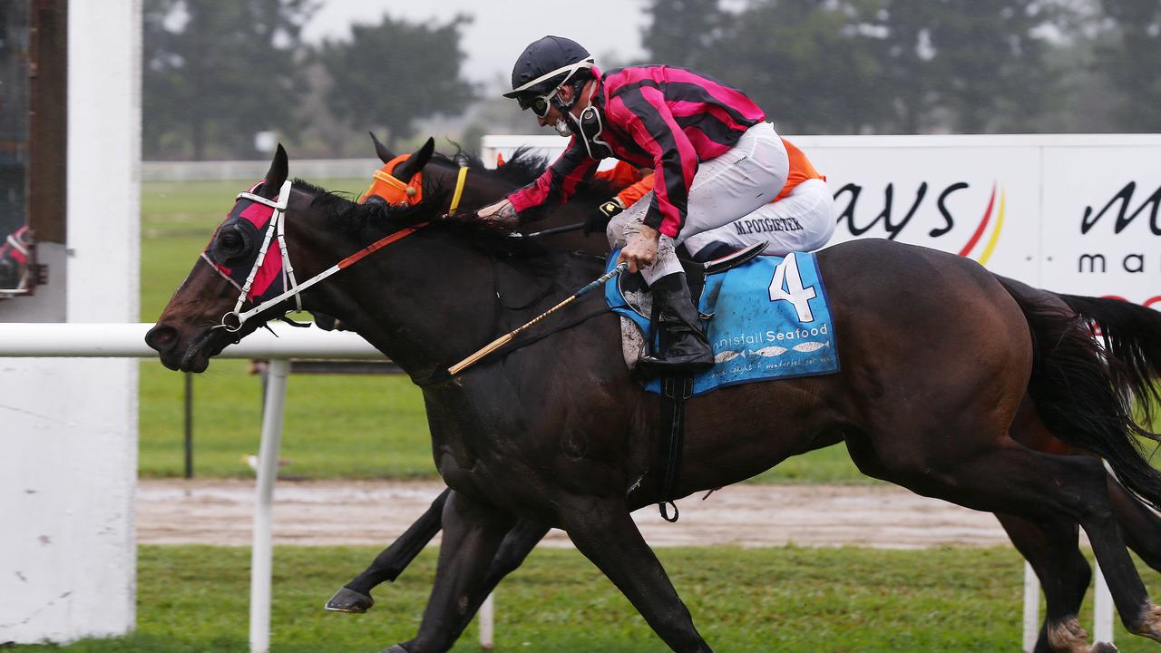 Tutelage, ridden by Scott Sheargold, narrowly edges out Brilliant Mind, ridden by Marnu Potgieter in the Banana Cup (1800m) at the Innisfail Turf Club. Picture: Brendan Radke