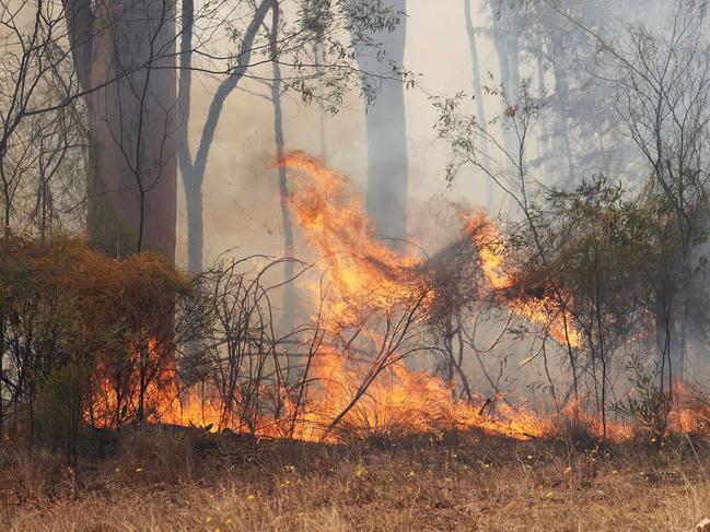 Tara fires. Picture: Liam Kidston