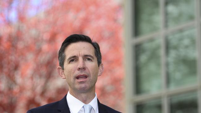 Australian Trade Minister Simon Birmingham says the border closure is hurting tourism. (AAP Image/Lukas Coch)