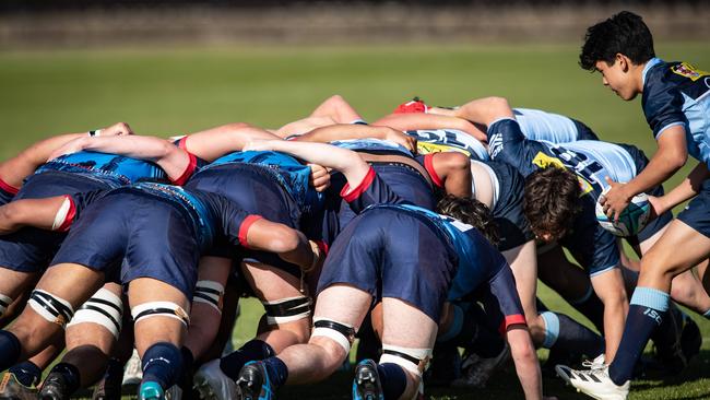 NSW Rugby Union wanted to use David Phillips Field in Daceyville to hold 12 public games with a maximum 400 spectators on the playing field adjacent to the NSW Rugby Centre of Excellence building. Picture: Julian Andrews