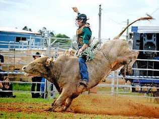 Hold on tight: Alstonville bull rider Jayden Sims competes in the Kyogle Bull Ride on Saturday night. Picture: Diane Essery