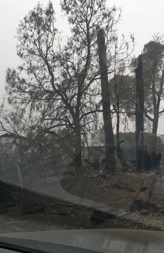 Matt inspected the damage locally in Batlow after the fires.