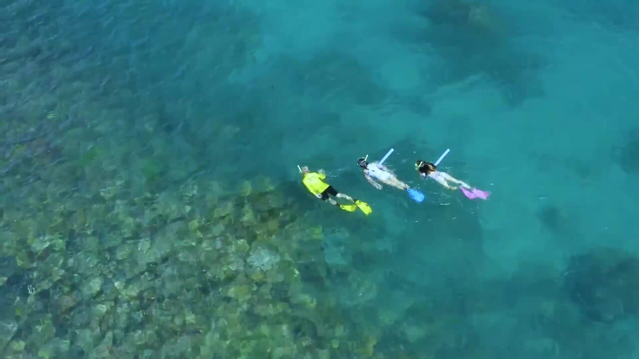 Great Barrier Reef nominated for global environmental award
