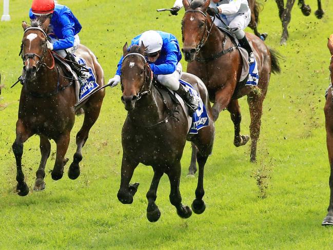 Swear (orange colours) ridden by Christian Reith wins race 3 during Hawkesbury Races, Clarendon. Pic Jenny Evans