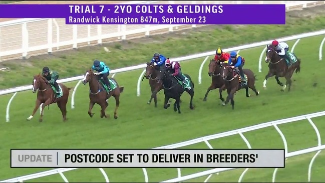 Sky Racing Update — 03-10-2019