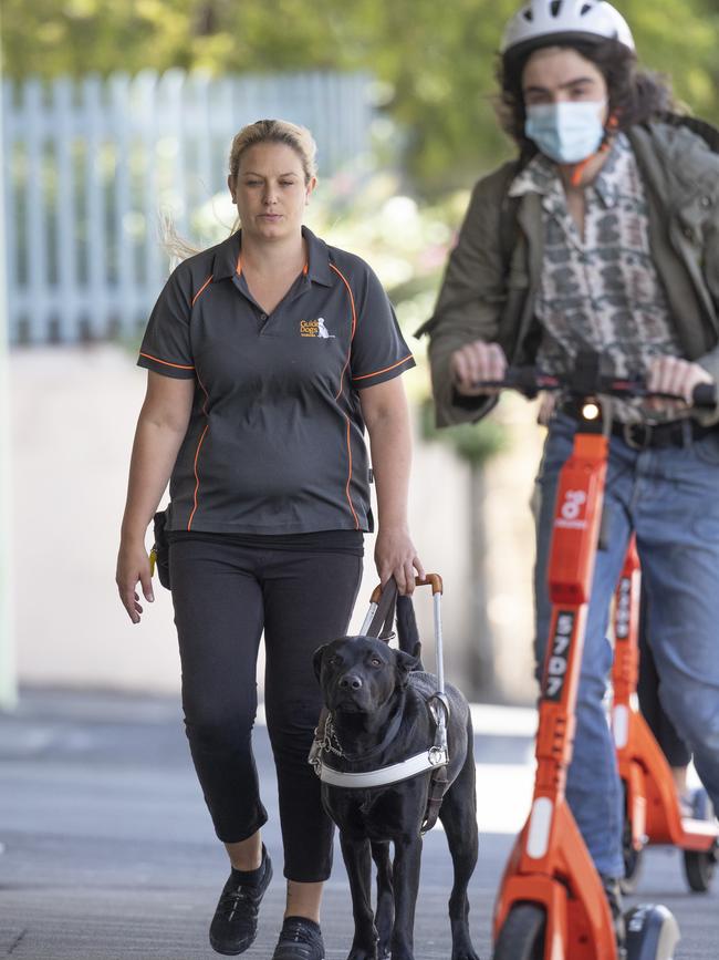 An e scooter passes guide dog trainer Rachael Hackney and Jonty at Hobart. Picture: Chris Kidd