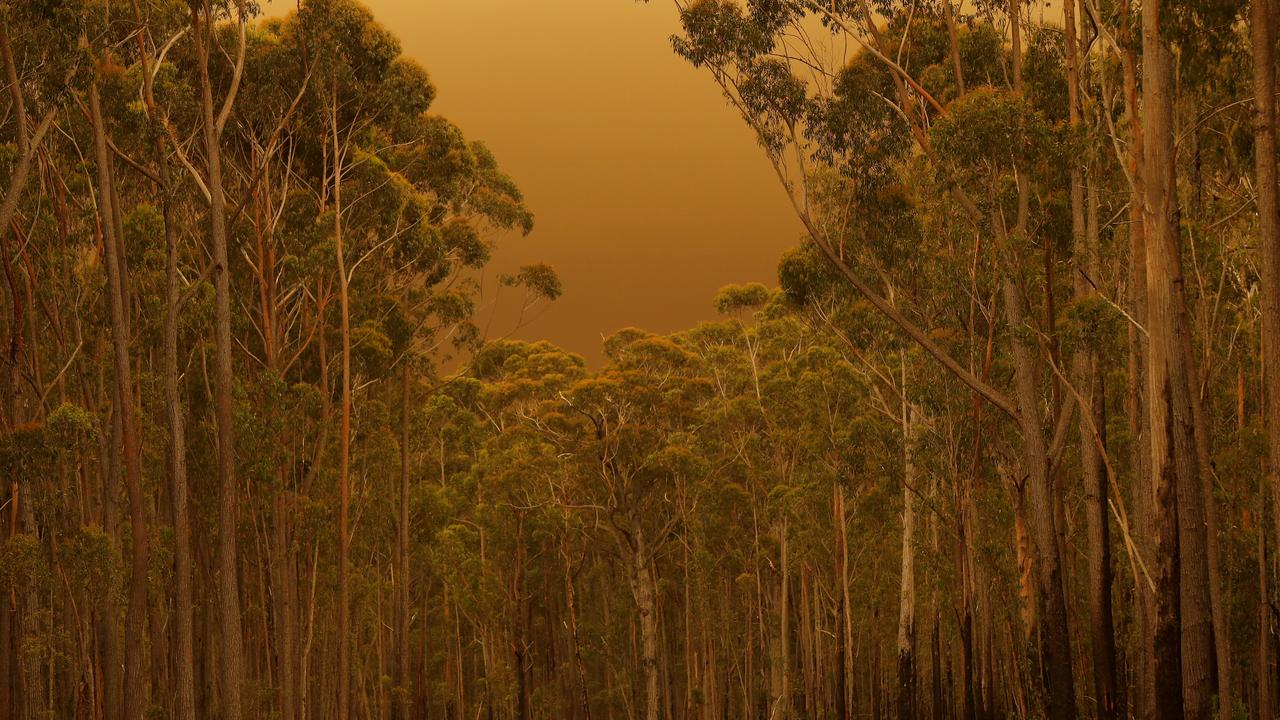 Thick smoke from fills the air in East Gippsland. Picture: Getty Images