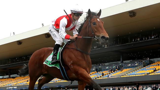 Group 3 placegetter Know Thyself is being aimed at the Country Championships. Picture: Jeremy Ng/Getty Images