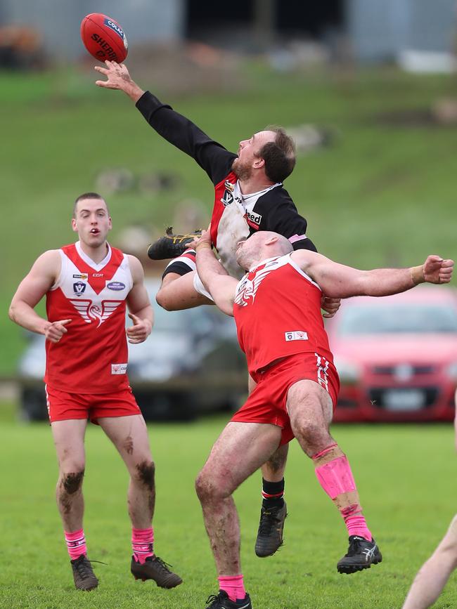 Birregurra’s Joel Hayward wins the hitout.