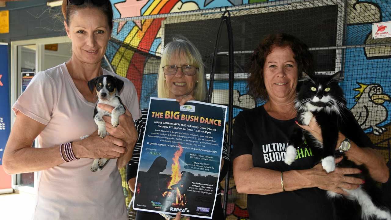 Family bush dancing will be a howling good time | The Courier Mail