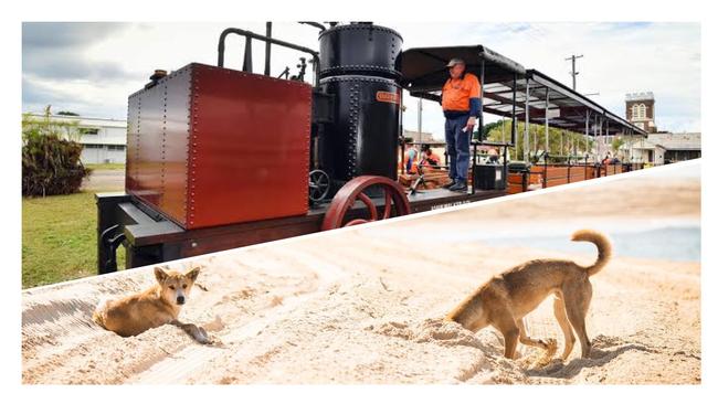 Two Fraser Coast destinations are finalists in Queensland tourism awards.