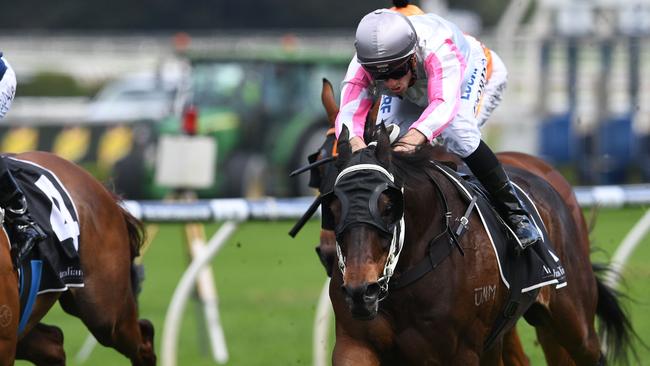 Destiny's Kiss was tough in his win at Randwick. Picture: AAP