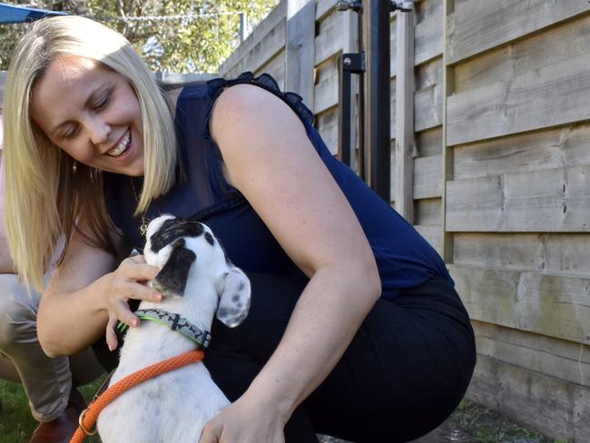 Fraser Coast council has made microchipping and desexing your pooches cheaper, but there's a catch. Picture: Isabella Magee