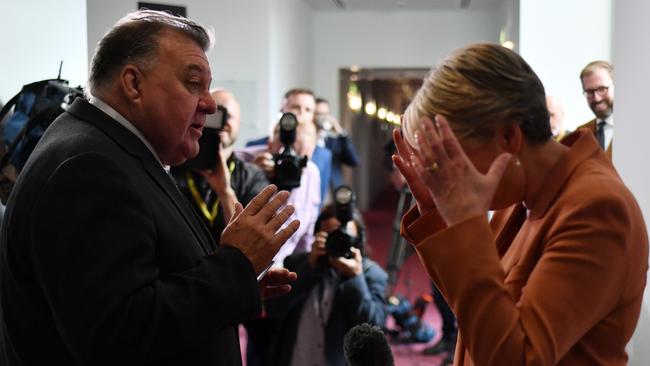 Liberal member for Hughes Craig Kelly and Labor’s Sydney MP Tanya Plibersek at Parliament House on Wednesday. Picture: Getty Images