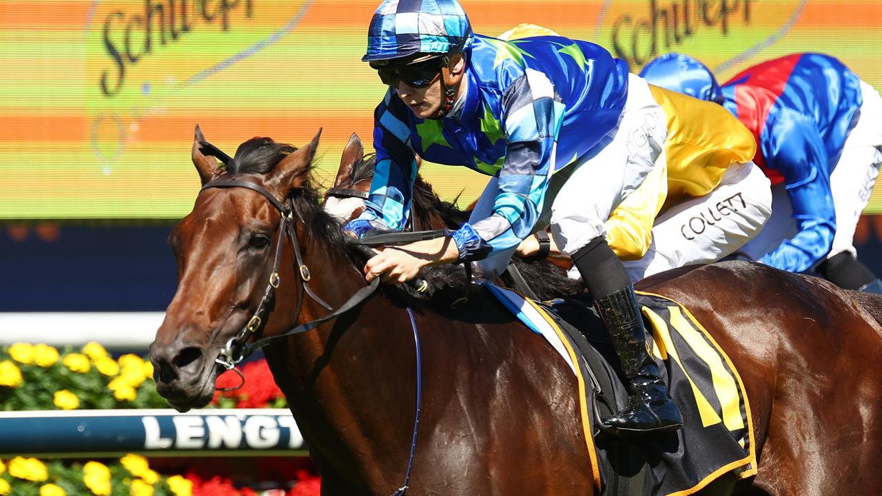 The new Sydney Cup favourite Circle Of Fire. Photo: Jeremy Ng/Getty Images.