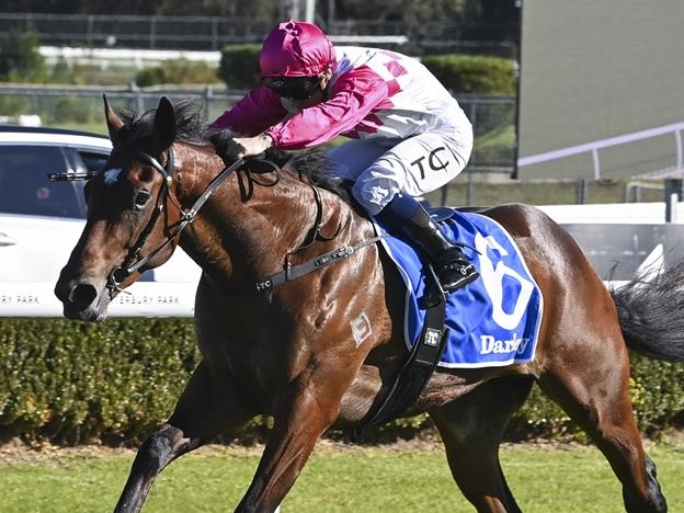 Wanaruah wins at Canterbury on June 19. Picture: Bradley Photos