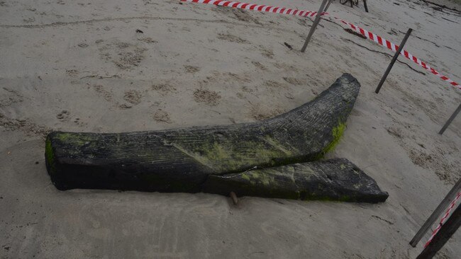 The deadwood joined the stem of the bow to the keel of the ship. Picture: Supplied