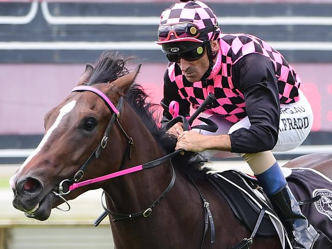 Rothfire winning at Doomben. Picture: Trackside Photography
