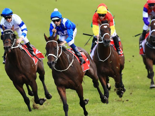 Winx, ridden by Hugh Bowman, wins race 5 The George Ryder Stakes during Golden Slipper day at Rosehill Races. pic Jenny Evans