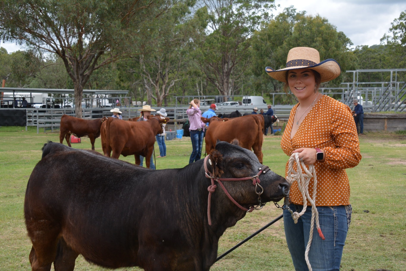 Sarah Rathmell showing the gorgeous little heifer named Waffles on behalf of Anthony O'Dwyer from Dalby at the 71st annual Cooyar Show. Picture: Kate McCormack