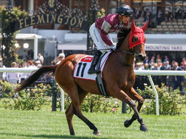 Fully Calculated can post her second win in her last three starts when she heads to Moe on Monday. Picture: Racing Photos via Getty Images.