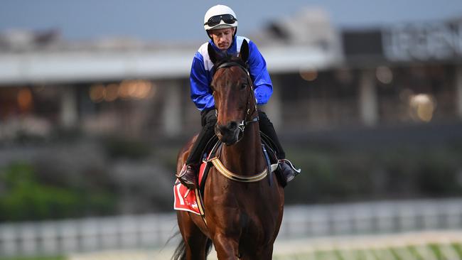 Winx is in great shape heading into the Cox Plate. Picture: AAP