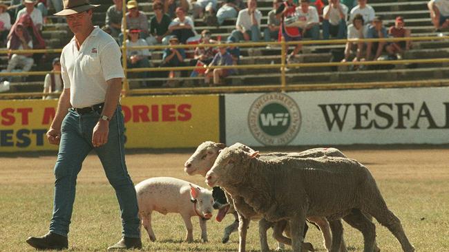 Graham Reimers during sheepdog trials at the Ekka in 1996.