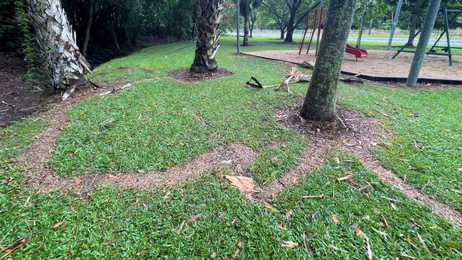 Herbicide used on the lawn at a Cairns park left a clear trail of dead grass. Picture: Supplied