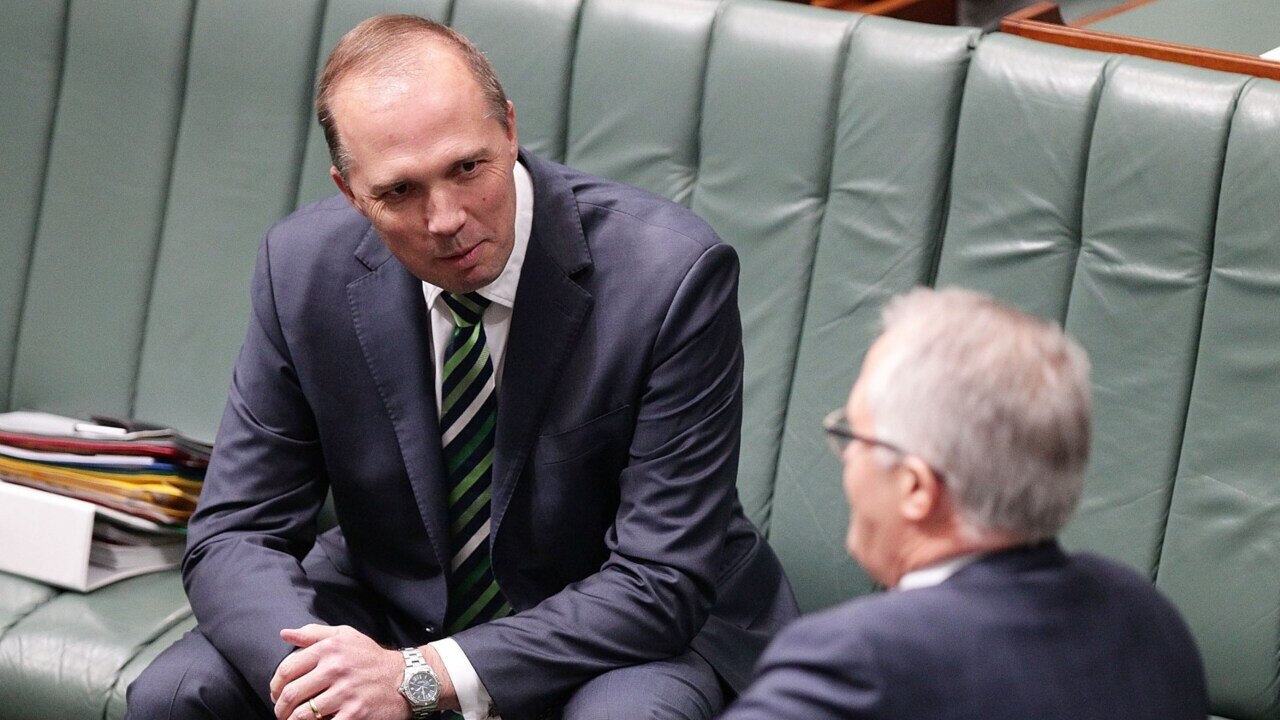 Dutton pledges loyalty to Turnbull