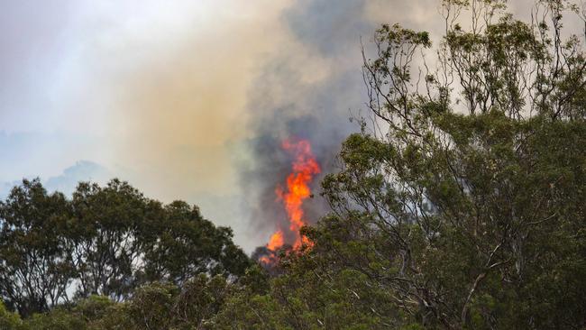 The fire had earlier been contained. Picture: Sarah Matray