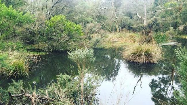 One of the lakes on the Judd’s new Mornington property.