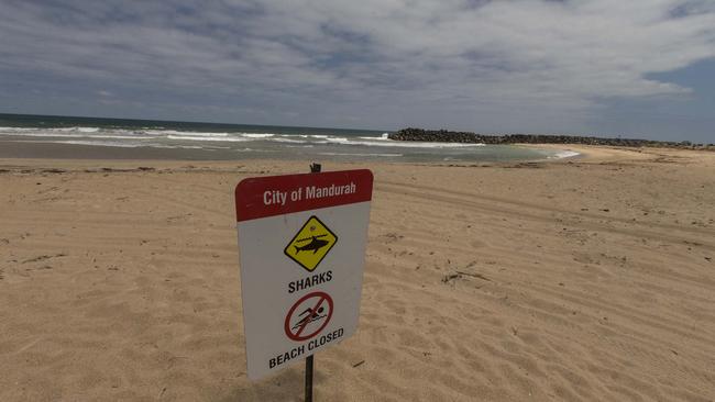 Sharks are common at beaches along WA’s coastline. Picture: Ross Swanborough.