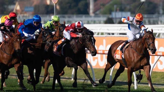 Jamie Kah, aboard Deep Speed, holds off the chasing pack on her way to 100 city winners. Picture: Tony Gough