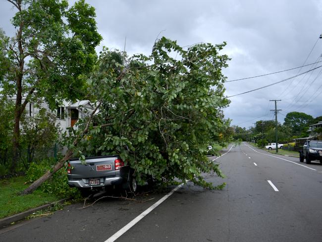 Cyclone Kirrily Townsville 2024. Tree down, Bayswater Terrace, Hyde Park. Picture: Evan Morgan