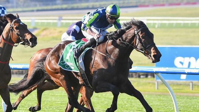 Handy mare Roadie will chase a third straight win when she heads to The Valley on Saturday. Picture: Racing Photos via Getty Images