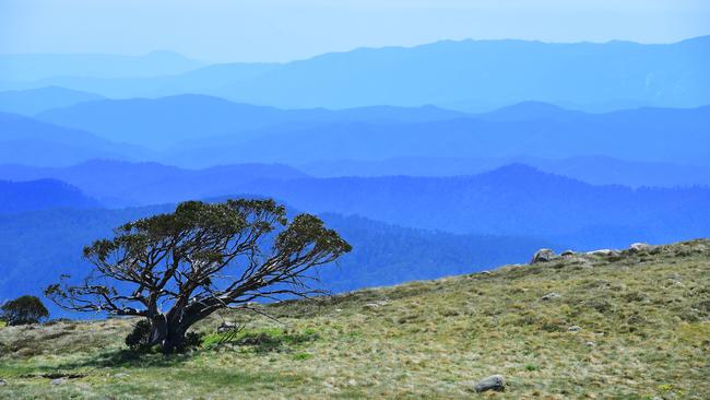 Several people have vanished in Victoria’s high country over the last decade. Picture: Zoe Phillips