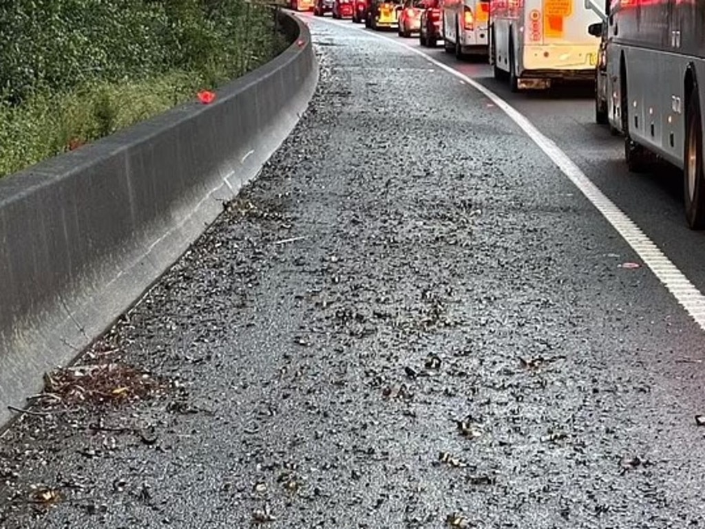 The scattered debris on the M1 Motorway. Picture: Supplied