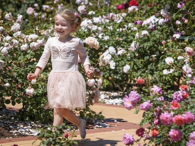 Victoria State Rose Garden. Picture: Wyndham City Council.