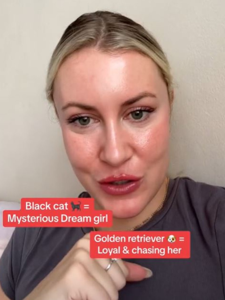 Anna Kristina has amassed millions of views with the viral black cat, golden retriever dating theory. Picture: TikTok/@annakrstna