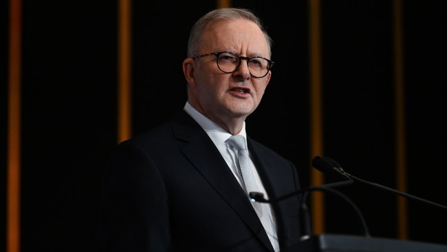 Mr Albanese and others within the government claimed Mr Musk's behaviour demonstrated the need for stronger laws to police social media companies over harmful content and the spread of disinformation. Picture: Dan Peled/NCA NewsWire