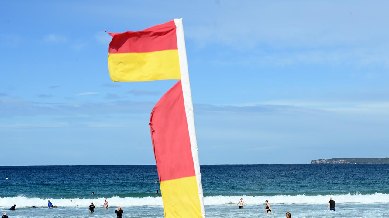 The sharks were around two feet long and were spotted near the flags. Picture: NCA NewsWire / Jeremy Piper