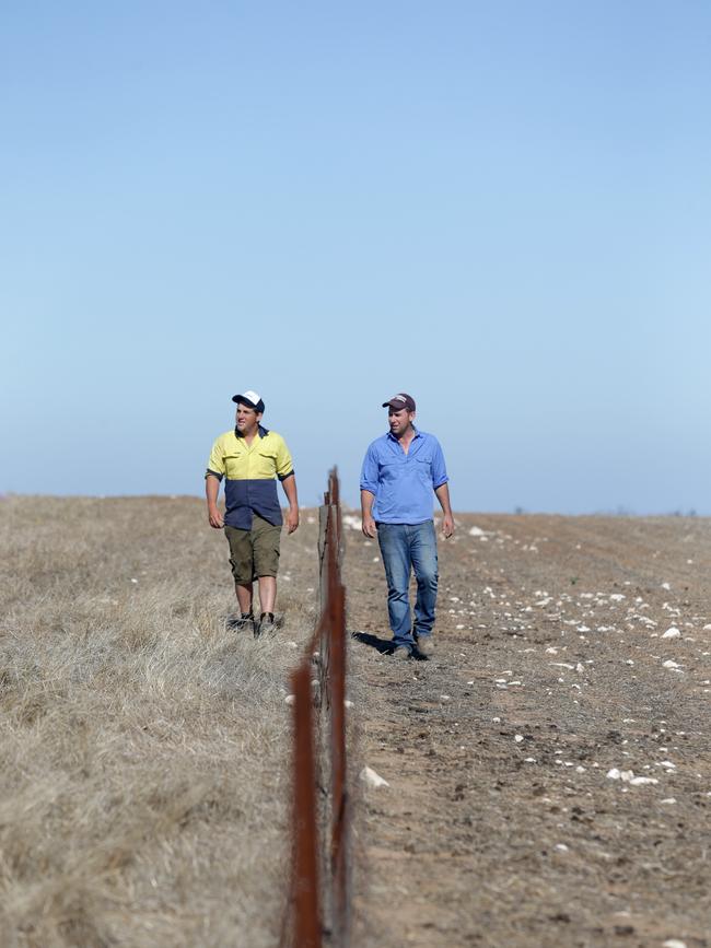 Mark Baldock and Andrew Baldock nominated their family’s Kimba property for the Nuclear waste dump site. Picture: Kelly Barnes / The Australian