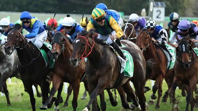 Ceolwulf was a brilliant winner of the Epsom Handicap. Picture: Jeremy Ng / Getty Images