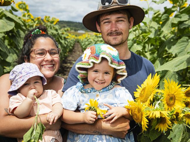 Josh King and Gaby Mendez with Honey and baby Heidi at Lilyvale Flower Farm picking sunflowers, Sunday, February 2, 2025. Picture: Kevin Farmer