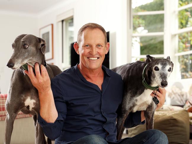 Todd McKenney with his Greyhounds Nancye Hayes and Joey. Picture: Tim Hunter