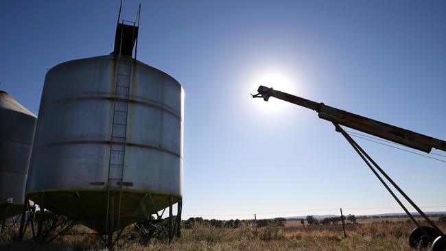 Big player: Lempriere Grain traded between 250,000 tonnes and 500,000 tonnes of grain annually, according to Grain Trade Australia. Picture: Andy Rogers