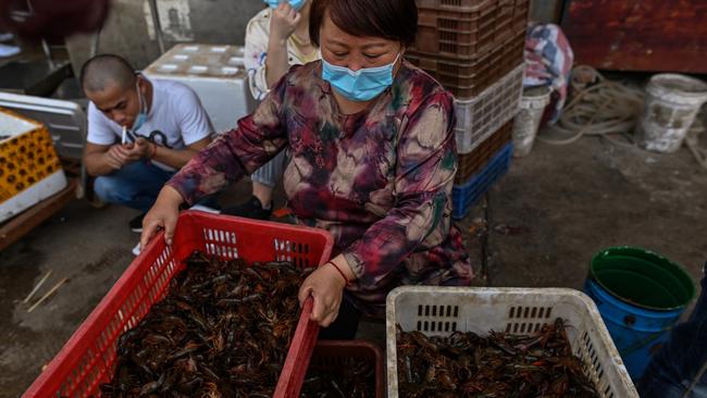 When doctors in Wuhan raised the alarm about a new virus believed to have originated in a wet market with the Chinese Centre for Disease Control, their findings were squashed. Picture: Hector Retamal/AFP