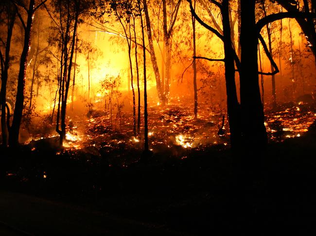 bushfire, wildfire, trees, flames, smoke