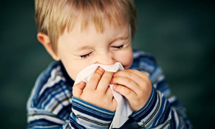Six bugs your child will probably catch at daycare