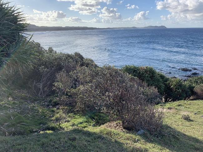 At Broken Head Nature Reserve, south of Byron Bay. Northern NSW. Picture: Amanda Robbemond